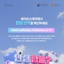 스테이고요 민박 이미지