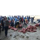 패밀리낚시터 이미지