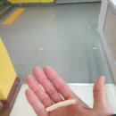 개봉초병설유치원 이미지