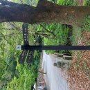 내장산국립공원화장실(사무소) 이미지