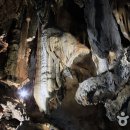 지구의 신비를 간직한 ‘동굴의 왕국’ 단양으로 가다 이미지