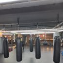 테마프라자약국 이미지