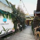 포레스트 경주(Forest 경주) | 경주 황리단길 빙수 맛집, 리틀포레스트 감성 카페