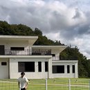 월월애견펜션 이미지