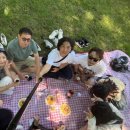 금손민박 이미지