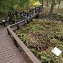 상수초교 이미지