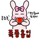 샤브야 월남쌈 구이 & 샤브 네이버블로그