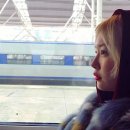 김새롬 카카오 검색결과