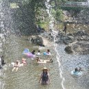 산천초목식당 - 동구 | 산천초목식당
