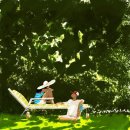 감성일러스트 이미지