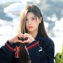 배이