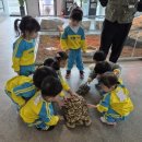 또래어린이집 이미지