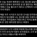 옆집강아지 이미지