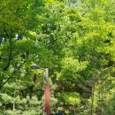 대치2-111 이미지