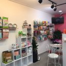 댕댕이 커트방 이미지