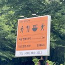 짜장이형짬뽕동생