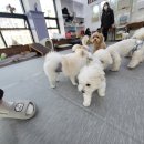 (주)리브프렌즈 이미지