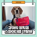 이든덴탈 이미지