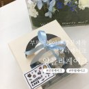 앙플리케이크