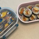 고흥우주발사전망대 | 누리호 4차 발사 실제 직관 후기, 고흥 우주발사전망대🚀