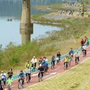 낙동강변16 이미지