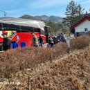 정이품송 공중화장실 이미지