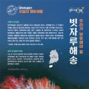 해송 이미지