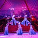 당진월드아트서커스 이미지