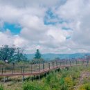 강원도 정선 가리왕산 케이블카🚡탑승 상세 후기 (할인요금, 이용요금, 평창올림픽)