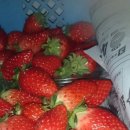 케이지팜(주) 이미지