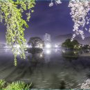 영산 연지못 이미지