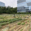 행복을 farm 이미지