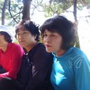 영옥농장 이미지