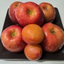 (주)레몬하우스 이미지