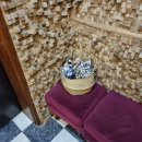 그놈은 예뻤다 이미지