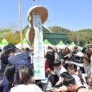 담양대나무축제 이미지