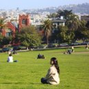 꼬리치는 강아지 | 샌프란 강아지가 있는 공원 '미션 돌로레스 파크'