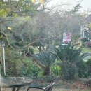 대흘샬레 이미지