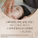 에이치 스킨(H SKIN)