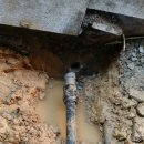 전주제일고등학교 이미지