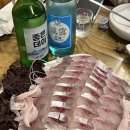 어산호 이미지