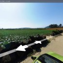 대정읍-7 이미지