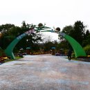 코스모스드림 이미지