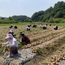 기술보급과 이미지