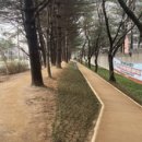 평화황토 이미지