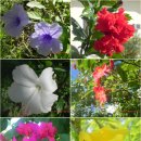 애련농장 이미지