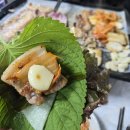 배고픈 모찌 이미지