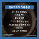 우리동물메디컬센터 이미지