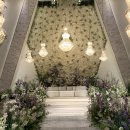 비올라 | 💍W2. 대구 칼라디움웨딩홀 방문 및 계약후기💒(대구웨딩홀투어,콘서트홀,비올라홀 방문후기)