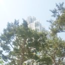 대치팰리스 어린이집